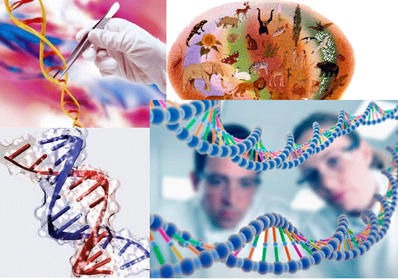 ICQ318-1: BIOLOGIA MOLECULAR